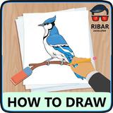 Wie man Vögel zeichnet