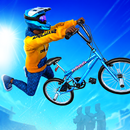 Riders Playground: BMX x MTB APK