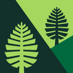 MobiliD icon