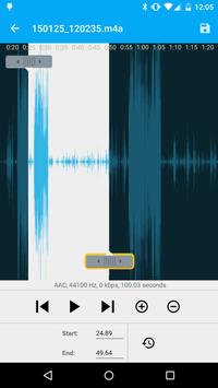 Audio Recorder and Editor screenshot 4