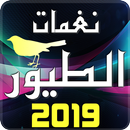 Birds Sounds Ringtones 2019 APK