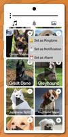 Dog Sounds-Barking-Wallpaper скриншот 3