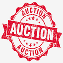 NPL Auction APK