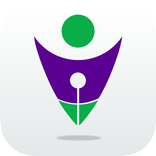 Online Aptitude Test - Pilot
