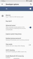 Developer Settings captura de pantalla 3