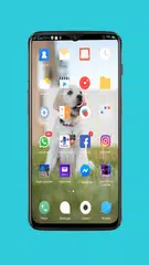 Launcher for Huawei P30 Pro XAPK download