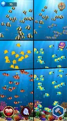 Merge Fish Evolution XAPK download