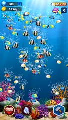 download Merge Fish Evolution XAPK