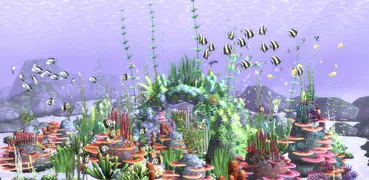 HealingAqua - My Aquarium