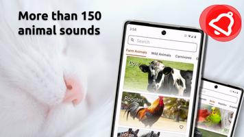 Animal Sounds Affiche