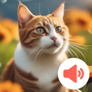 猫の鳴き声: かわいい鳴き声と着信音 APK