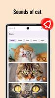 Cat Sounds: Meow for Ringtones پوسٹر