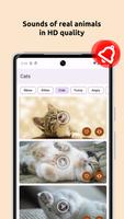 Cat Sounds: Meow for Ringtones اسکرین شاٹ 1