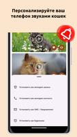 Звуки кошаков: Мяу тон скриншот 2