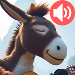 Donkey Sounds & Ringtones