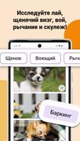 Звуки Собак и Рингтоны скриншот 1