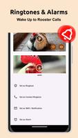 1 Schermata Rooster Sounds