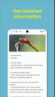 Insecta captura de pantalla 1
