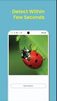 Insecta captura de pantalla 3