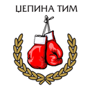 Džepina tim APK