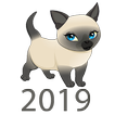 Cat Breeds Profile