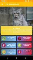 Cat Breeds Profile Affiche