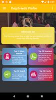 Dog Breeds Profile Plakat