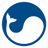 MORE 116 | Казань