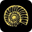 рАкушка | Краснодар APK