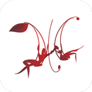 Дежа Вю | Набережные челны APK