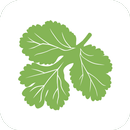 Kinza | Набережные челны APK