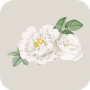 APK Цветы Мира | Саранск