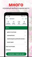 Белый мак penulis hantaran