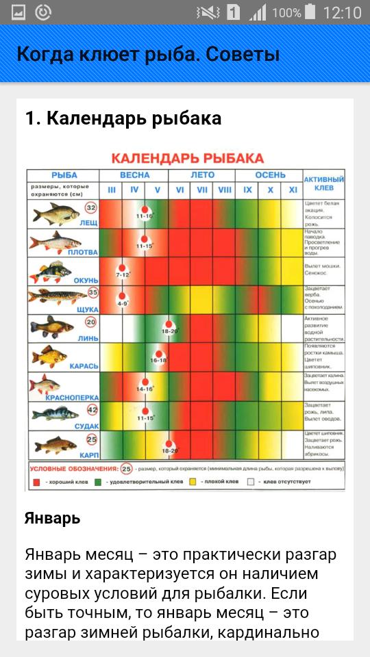 Клев в казани