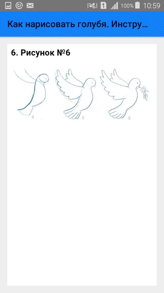 Песня мы рисуем голубей. Как нарисовать голубя. Схема рисования голубя. Как рисуется голубь. Как можно нарисовать голубя.