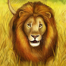 Как нарисовать льва. Инструкци APK