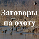 Заговоры на охоту. Советы APK