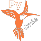 Python Code 圖標