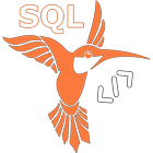 SQL Code 图标