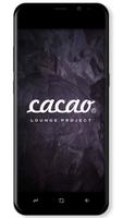 Cacao Lounge plakat