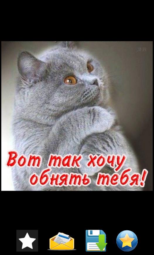 картинки мужчине вот так хочу тебя обнять эполеты относятся