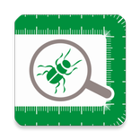 Адама Эксперт