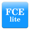 Flowchart Editor Lite