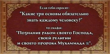 Три основы (шарх Хайсам)