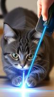 Kitty Laser Fun App poster
