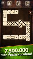 Domino Ekran Görüntüsü 2