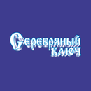 Серебряный ключ Владивосток APK
