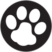 Kitty's Paws