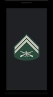 Military ranks of Brazil 截圖 3