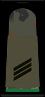 Ranks of the German Bundeswehr captura de pantalla 2